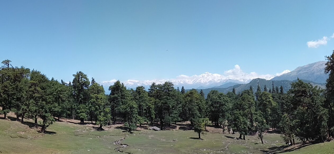 Chopta Valley