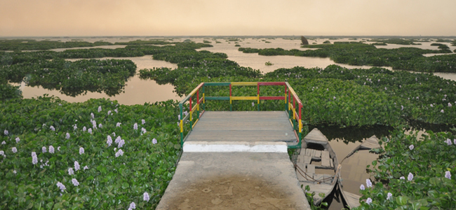 Harike Wetland