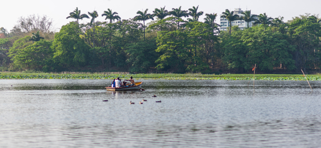 Shukavana Home to Exotic Birds