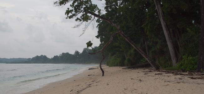 Laxmanpur Beach