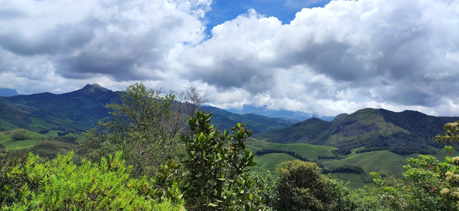 Eravikulam National Park